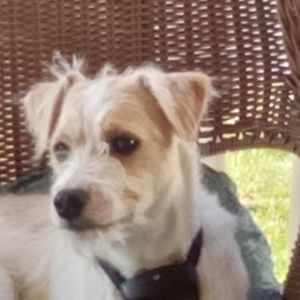 Meet your Posher, Carol